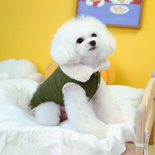 秋冬小型宠物加厚猫狗服装工装风格夹克泰迪冬季保暖服装