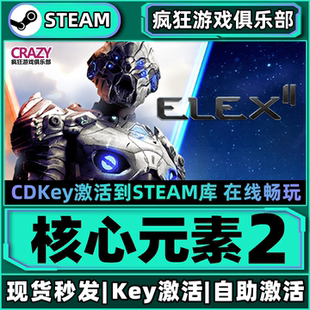 Steam正版 全DLC開放世界游戲 ELEX CDKey入庫 核心原宿2 激活碼