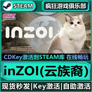 CDKey入库全球国区韩国财阀模拟器 云族裔激活码 Steam正版 inZOI