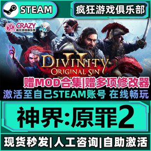 神界原罪2 Steam激活自己库里Divinity: Original Sin 2全DLC游戏