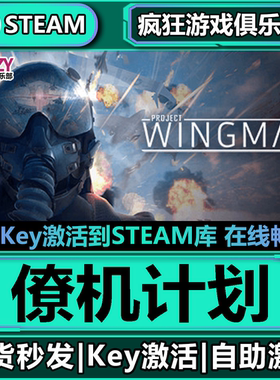 Steam正版僚机计划 激活码CDKey入库 Project Wingman  全DLC游戏