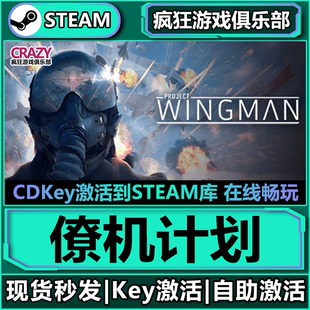 Steam正版僚机计划 激活码CDKey入库 Project Wingman  全DLC游戏