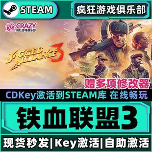 Steam正版铁血联盟3 激活码CDKey入库Jagged Alliance 3全DLC游戏