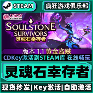 Steam正版灵魂石幸存者 全DLC游戏激活码入库Soulstone Survivors