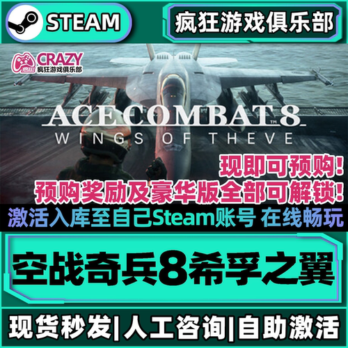 空战奇兵8希孚之翼Steam激活游戏