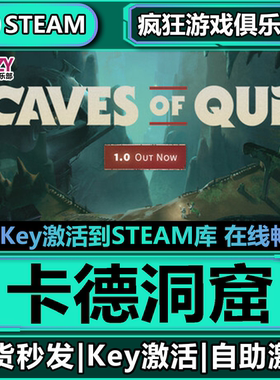 Steam正版卡德洞窟 猜想之穴 全DLC激活码CDK入库 Caves of Qud