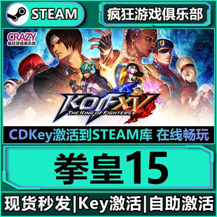 Steam正版 THE FIGHTERS 入庫 激活碼 全DLC游戲 拳皇15 KING