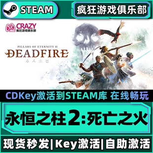 Steam正版永恒之柱2:死亡之火 激活码CDKey入库全DLC角色扮演游戏