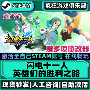 Steam闪电十一人全DLC电脑游戏
