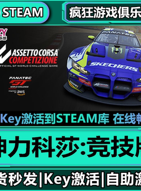 Steam正版神力科莎:竞技版激活码CDKey入库全DLC汽车模拟竞速游戏