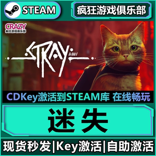 Steam正版迷失 激活码CDKey入库 Stray全DLC赛博朋克单人冒险游戏