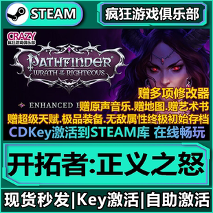 Steam正版开拓者:正义之怒 激活码CDKey入库 全DLC角色扮演游戏