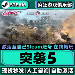 突袭5Steam激活自己库里Sudden Strike 5全DLC包更新电脑策略游戏