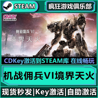 PC机战佣兵VI境界天火装甲核心6