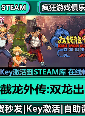 Steam正版双截龙外传:双龙出海 全DLC入库 Double Dragon Gaiden
