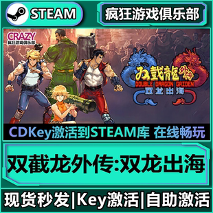 Steam正版双截龙外传:双龙出海 全DLC入库 Double Dragon Gaiden