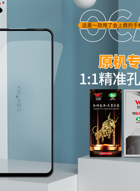 五盛达opA52/A72/A92/A53/A93/K7X/Realmev5/Q2/Q3/Q3I 带oca盖板