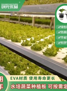 水培蔬菜漂浮板无土栽培设备