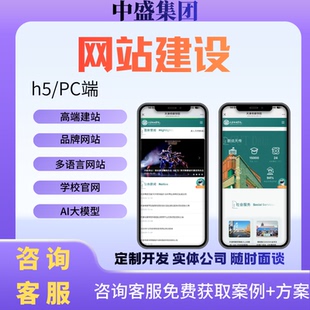 网站官网搭建建设企业AI大模型独立站多语言全包外贸PCH5定制开发