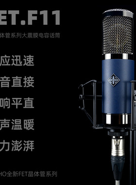 MRWHO烟头F11大震振膜电容麦克风话筒晶体管录音直播K歌主播套装
