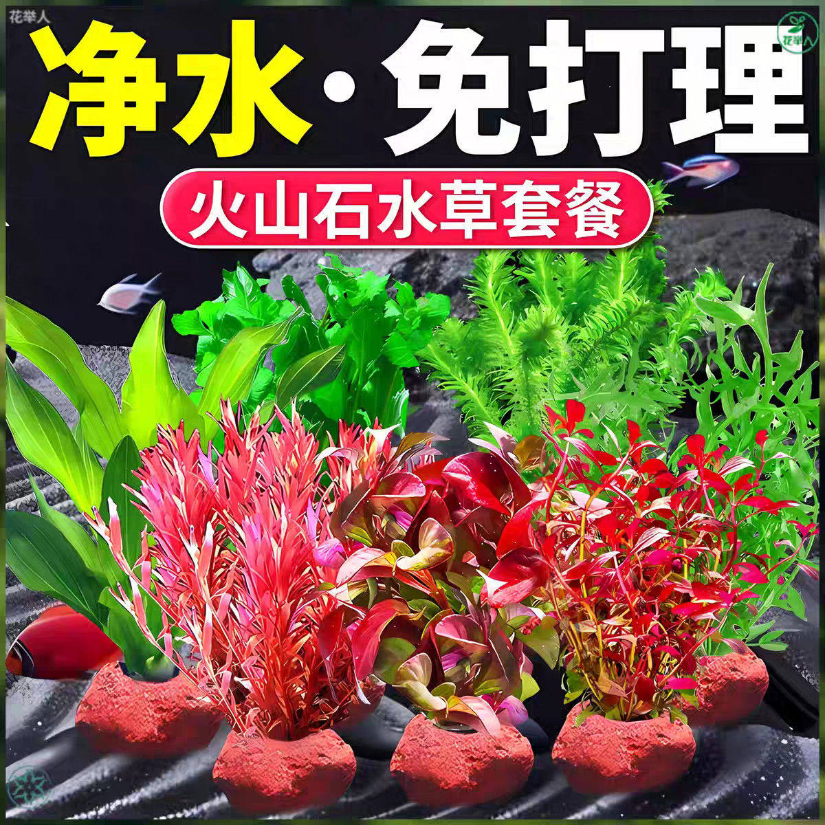 鱼缸新型摆件水草植物造景净化水质火山制氧水草鱼缸专用懒人装饰