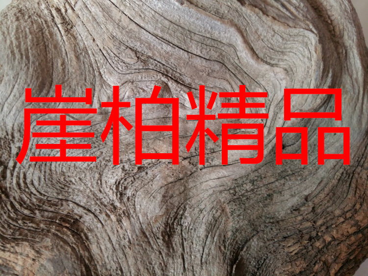 崖柏毛料 陈化瘤料正宗太行崖柏根雕