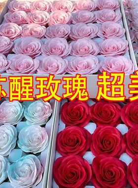 七层苏醒玫瑰花肥皂花香皂花花头