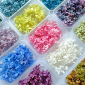 玻璃罩永生花礼盒diy手工材料蜡片团扇头饰配材 永生绣球叶