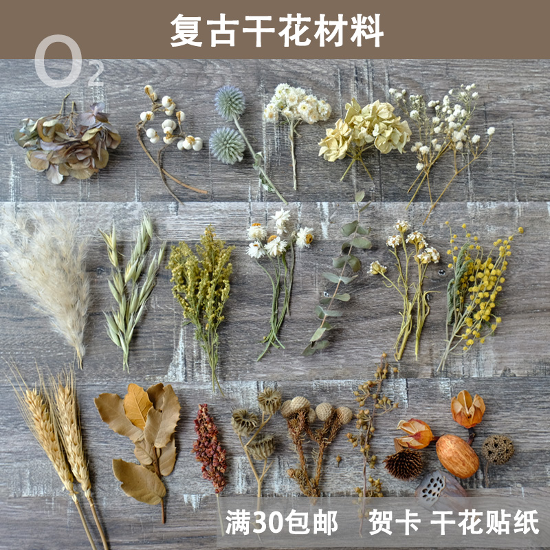 【复古风干花材料】短枝真植物标本相框diy花艺手作绣球欧式树叶