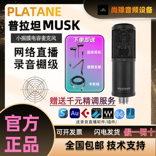 Platane MUSK 普拉坦小振膜电容话筒心形指向 人声/直播/K歌/录音