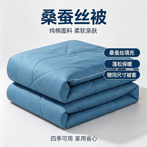 桐乡全棉加厚保暖桑蚕丝被送被套