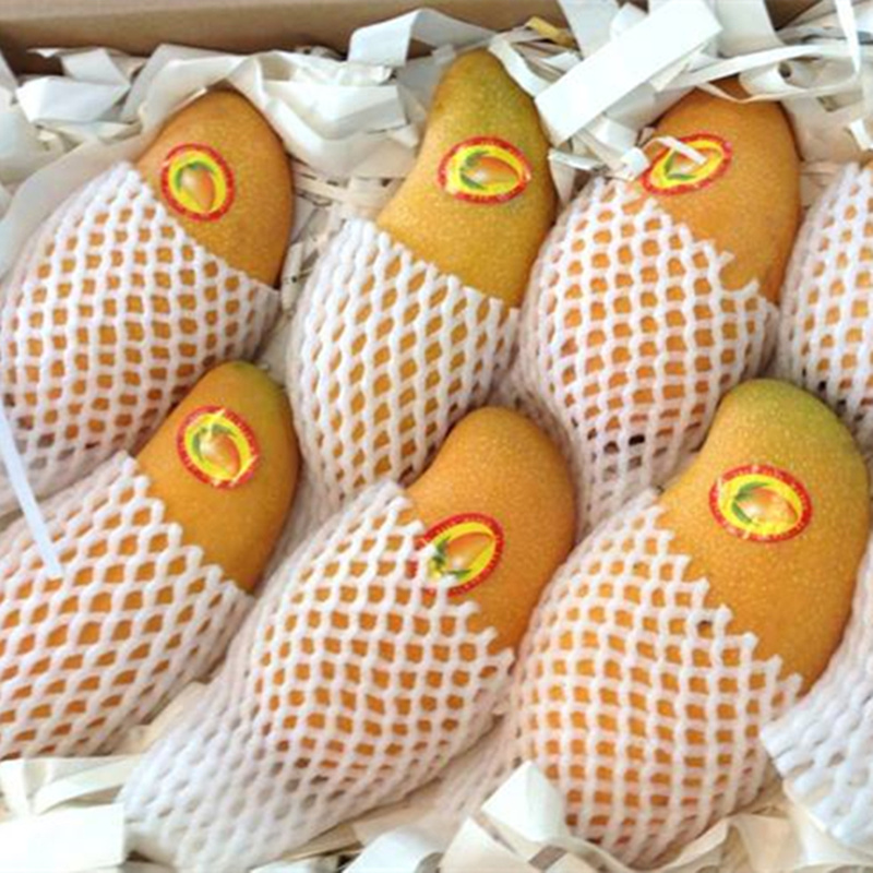 現摘現發海南金煌芒果包郵新鮮整箱10斤水仙芒果特大當季水果批發