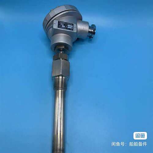 咨询THERMO COUPEL温度传感器，型号PT100 STS议价