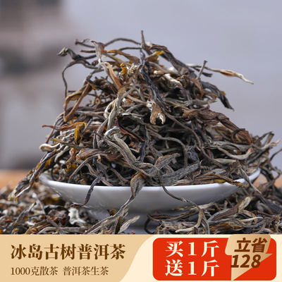 冰岛古树散茶10连暴击普洱生茶