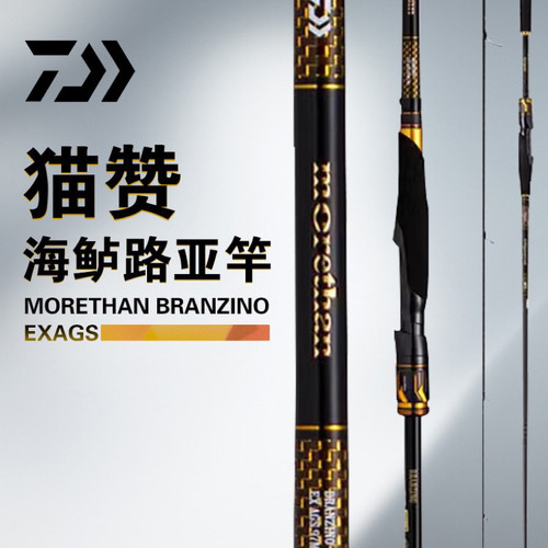 达瓦超远投鱼竿大物专业海钓竿