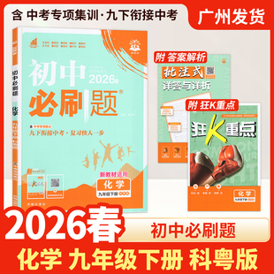 九年级下册科粤版 初三课本同步练习册题库真题复习资料9九下同步教辅资料工具书理 初中必刷题化学 2026春