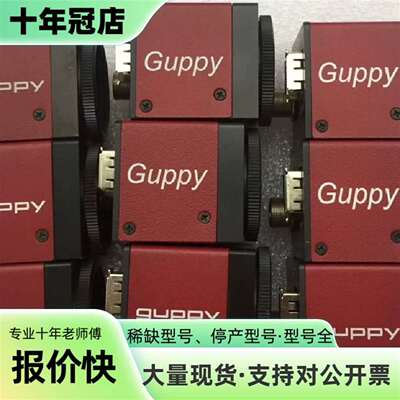 维修议价AVT GUPPY ALLIED GF 080B 139议价