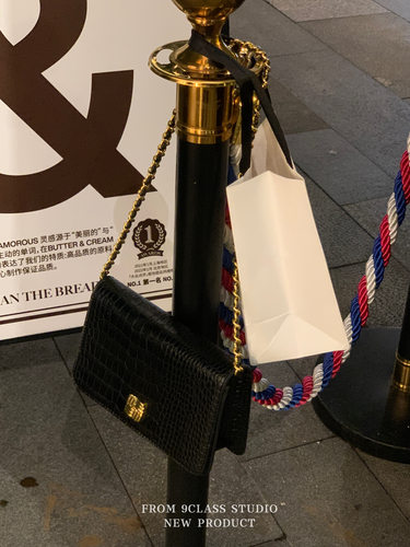 9class链条包小方包蜥蜴纹