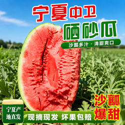 正宗宁夏中卫硒砂瓜当季沙瓤头茬石头瓜新鲜水果新鲜现摘大西瓜甜