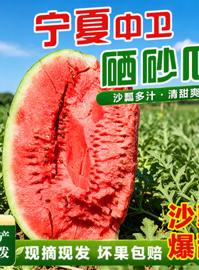 现摘宁夏中卫硒砂瓜沙瓤大西瓜甜