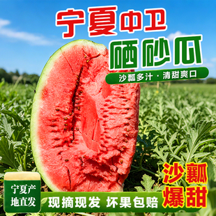 正宗宁夏中卫硒砂瓜当季沙瓤头茬石头瓜新鲜水果新鲜现摘大西瓜甜