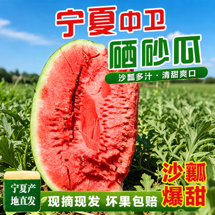 正宗宁夏中卫硒砂瓜当季沙瓤头茬石头瓜新鲜水果新鲜现摘大西瓜甜