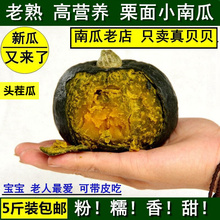 新鲜迷你小南瓜蔬菜贝贝南瓜栗面老南瓜宝宝辅食板栗味5斤 包邮