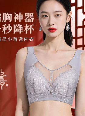 绯格贝缇F15709软钢圈全罩杯大胸显小收副乳提胸防下垂调整内衣