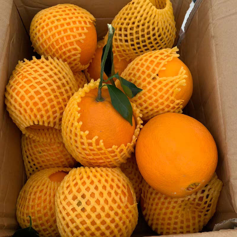 湖北 秭归纽荷尔 弗洛斯特 橙子新鲜现摘 孕妇水果 应季 整箱包邮,水产肉类/新鲜蔬果/熟食,橙,淘宝优惠券,粉丝福利购,淘宝优惠卷