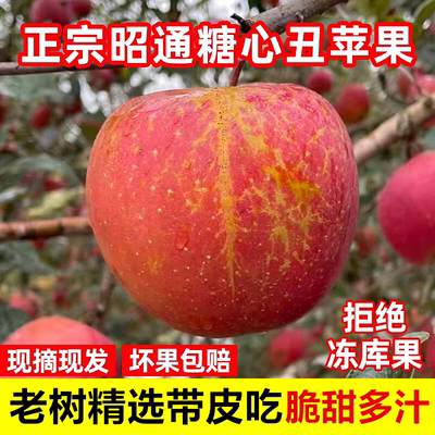 水云边云南丑苹果精选大果现摘