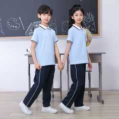 纯棉夏季校服短袖一模一样男女童白色polo衫中小学生浅蓝色班服