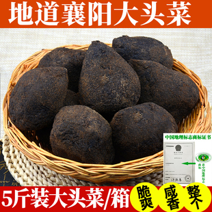 襄阳特产原味大头菜5斤菜团 疙瘩 孔明菜酱菜芥菜咸菜榨菜