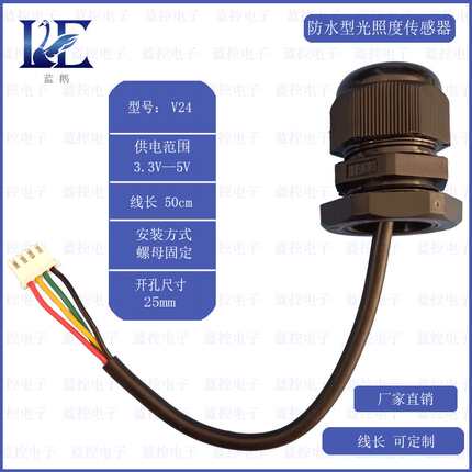 光照度传感器模块防水12年老店送程序光照采集模块光照小球照度计