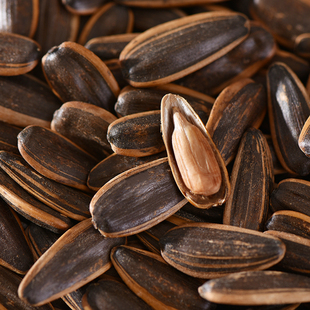 【新货大颗粒】内蒙古焦糖瓜子五香味核桃味原味红枣味葵花籽炒货